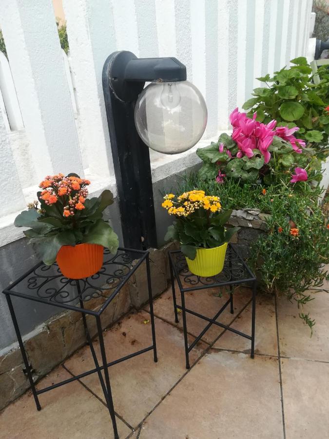 B&B Lety Alghero Extérieur photo
