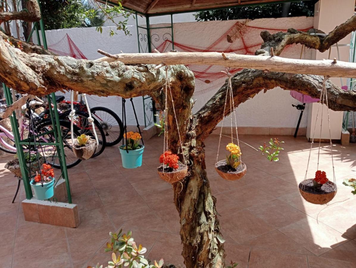 B&B Lety Alghero Extérieur photo